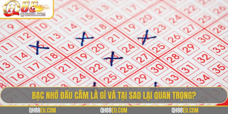 Bạc Nhớ Đầu Câm: Giải Mã Khái Niệm Và Ứng Dụng Trong Lô Đề Tại QH88 - XOHADE.ORG