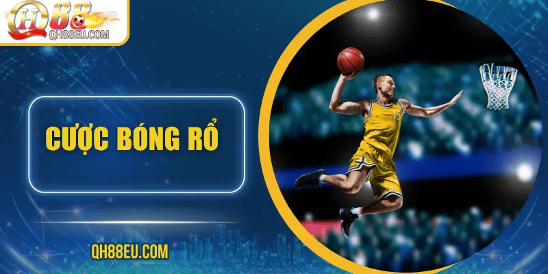 Thể Thao QH88: Trải Nghiệm Cá Cược Đỉnh Cao Cho Người Yêu Thể Thao - XOHADE.ORG