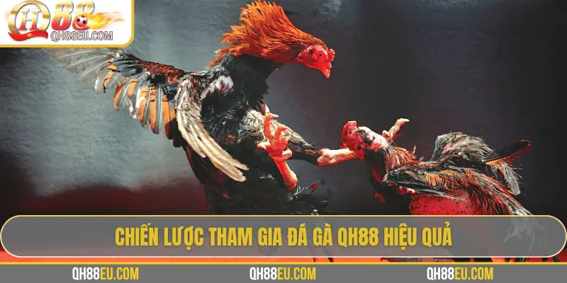 Đá Gà QH88 – Trải Nghiệm Cá Cược Sôi Động Cho Người Chơi Đam Mê - XOHADE.ORG