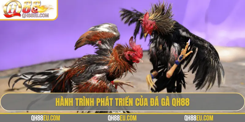 Đá Gà QH88 – Trải Nghiệm Cá Cược Sôi Động Cho Người Chơi Đam Mê - XOHADE.ORG
