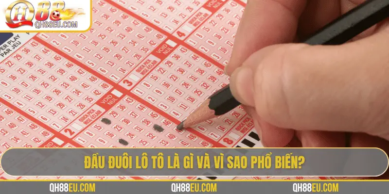 Đầu Đuôi Lô Tô: Cách Chơi Và Kinh Nghiệm Thực Tế Từ Chuyên Gia QH88 - XOHADE.ORG