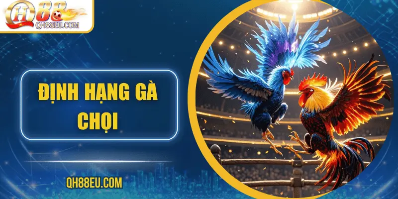 Đá Gà QH88 – Trải Nghiệm Cá Cược Sôi Động Cho Người Chơi Đam Mê - XOHADE.ORG