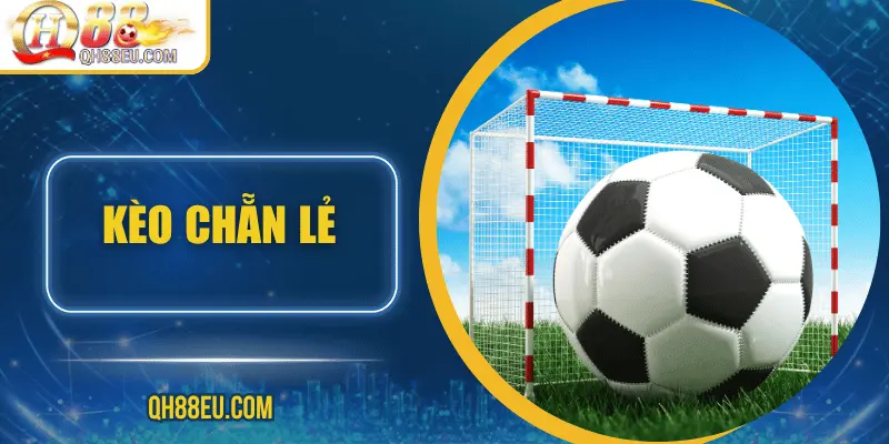 Thể Thao QH88: Trải Nghiệm Cá Cược Đỉnh Cao Cho Người Yêu Thể Thao - XOHADE.ORG