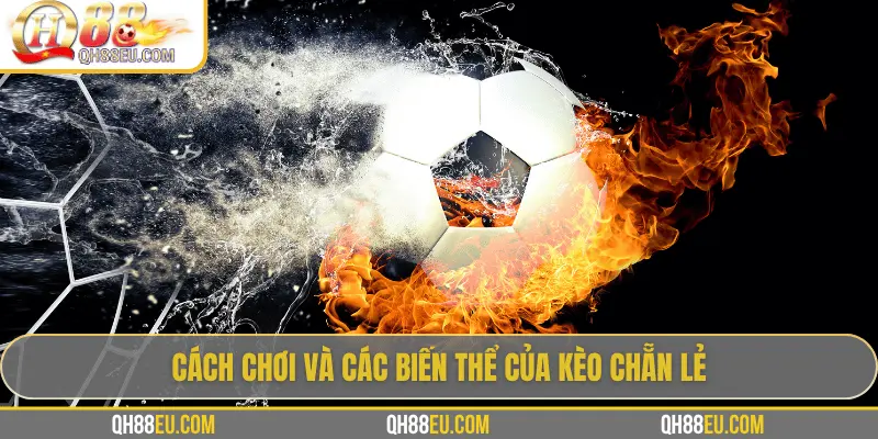 Kèo Chẵn Lẻ: Hướng Dẫn Cách Cược Dễ Thắng Tại QH88 - XOHADE.ORG