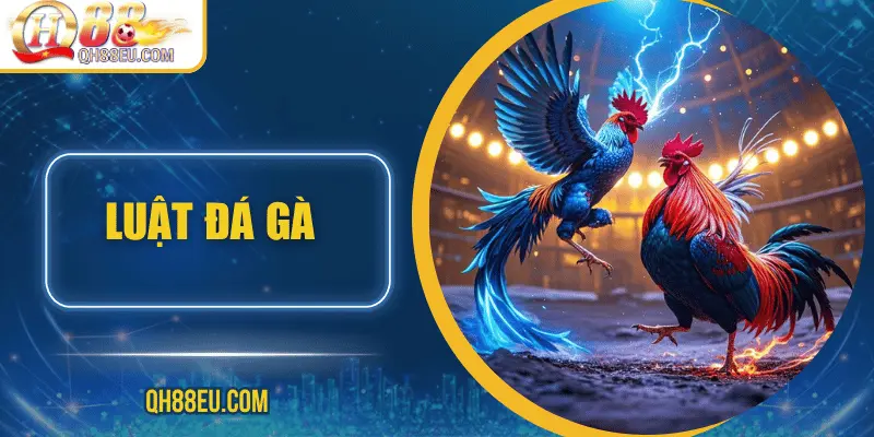 Đá Gà QH88 – Trải Nghiệm Cá Cược Sôi Động Cho Người Chơi Đam Mê - XOHADE.ORG