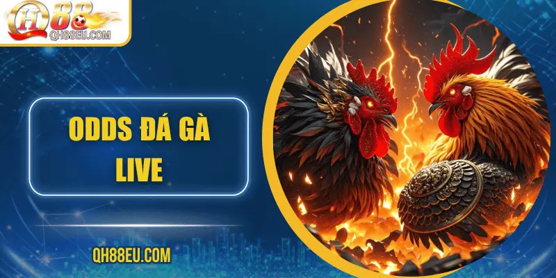 Đá Gà QH88 – Trải Nghiệm Cá Cược Sôi Động Cho Người Chơi Đam Mê - XOHADE.ORG