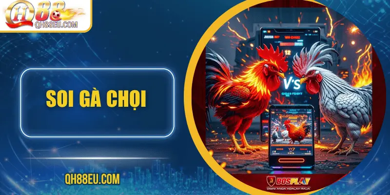 Đá Gà QH88 – Trải Nghiệm Cá Cược Sôi Động Cho Người Chơi Đam Mê - XOHADE.ORG