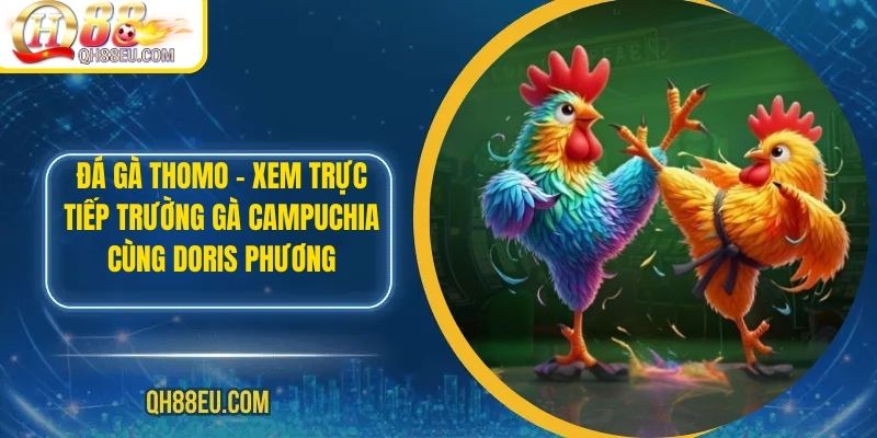 Đá Gà QH88 – Trải Nghiệm Cá Cược Sôi Động Cho Người Chơi Đam Mê - XOHADE.ORG