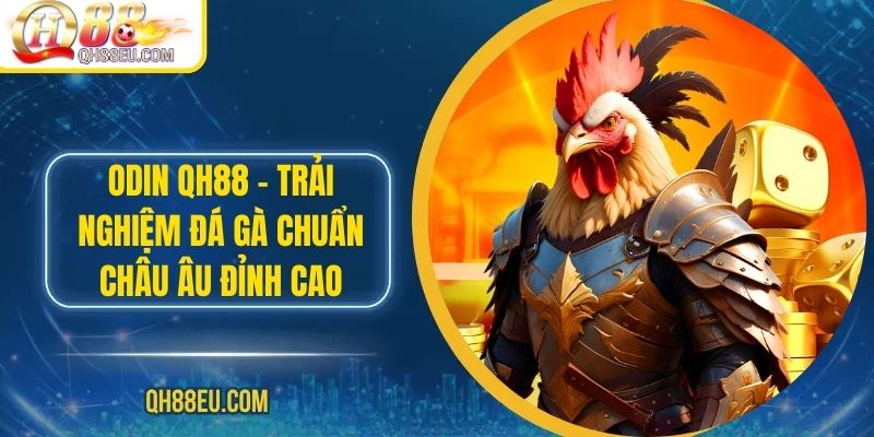 Đá Gà QH88 – Trải Nghiệm Cá Cược Sôi Động Cho Người Chơi Đam Mê - XOHADE.ORG