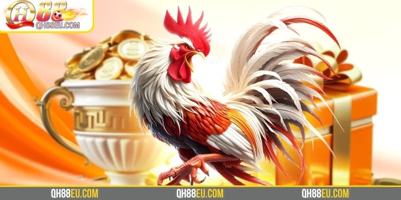 GA28 Tại QH88 – Sảnh Đá Gà Trực Tuyến Mượt Mà Nhất 2026 - XOHADE.ORG