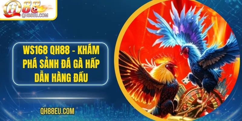 Đá Gà QH88 – Trải Nghiệm Cá Cược Sôi Động Cho Người Chơi Đam Mê - XOHADE.ORG